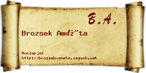 Brozsek Amáta névjegykártya